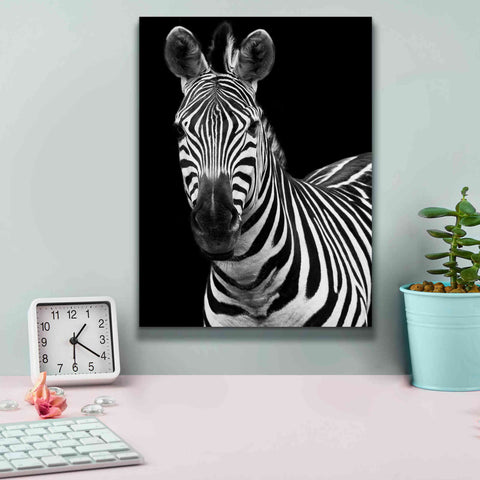 Image of 'Zebra II' by Debra Van Swearingen, Canvas Wall Art,12 x 16