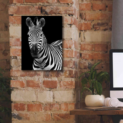Image of 'Zebra II' by Debra Van Swearingen, Canvas Wall Art,12 x 16