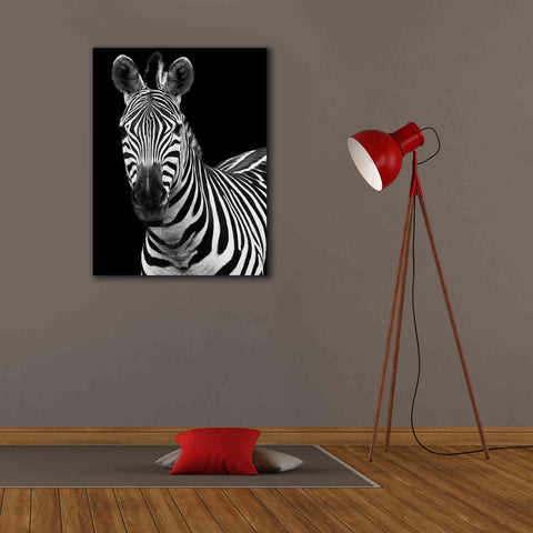 Image of 'Zebra II' by Debra Van Swearingen, Canvas Wall Art,26 x 34