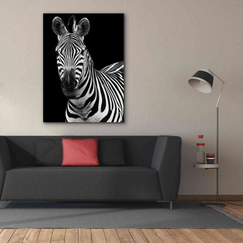 Image of 'Zebra II' by Debra Van Swearingen, Canvas Wall Art,40 x 54