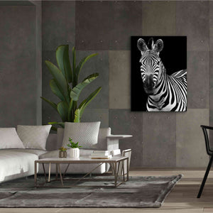 'Zebra II' by Debra Van Swearingen, Canvas Wall Art,40 x 54