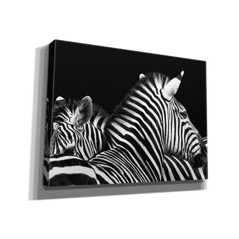 Image of 'Zebra I' by Debra Van Swearingen, Canvas Wall Art,16x12x1.1x0,26x18x1.1x0,34x26x1.74x0,54x40x1.74x0