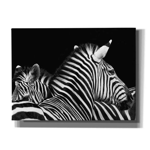 Image of 'Zebra I' by Debra Van Swearingen, Canvas Wall Art,16x12x1.1x0,26x18x1.1x0,34x26x1.74x0,54x40x1.74x0
