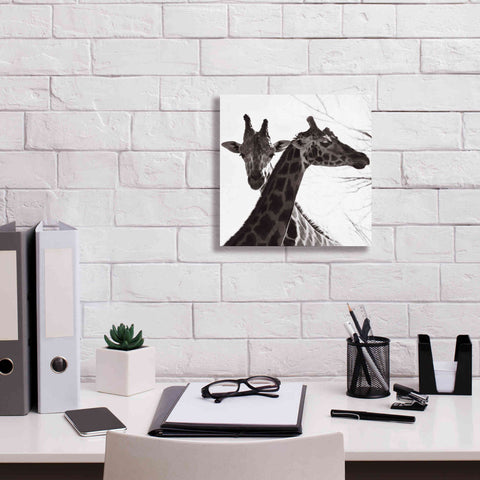 Image of 'Giraffe II' by Debra Van Swearingen, Canvas Wall Art,12 x 12