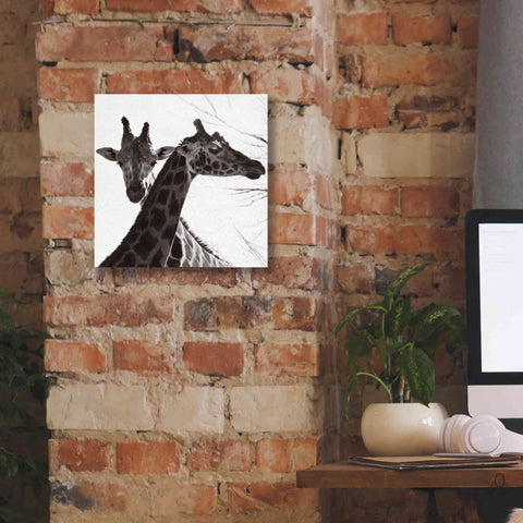 Image of 'Giraffe II' by Debra Van Swearingen, Canvas Wall Art,12 x 12