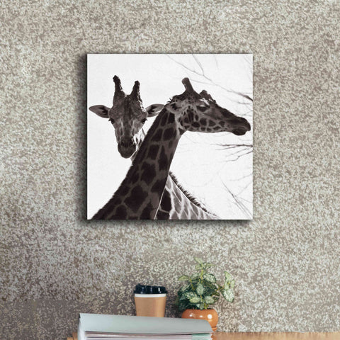 Image of 'Giraffe II' by Debra Van Swearingen, Canvas Wall Art,18 x 18