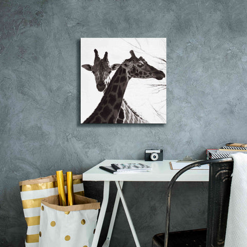 Image of 'Giraffe II' by Debra Van Swearingen, Canvas Wall Art,18 x 18
