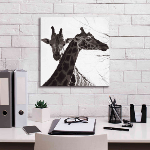 Image of 'Giraffe II' by Debra Van Swearingen, Canvas Wall Art,18 x 18
