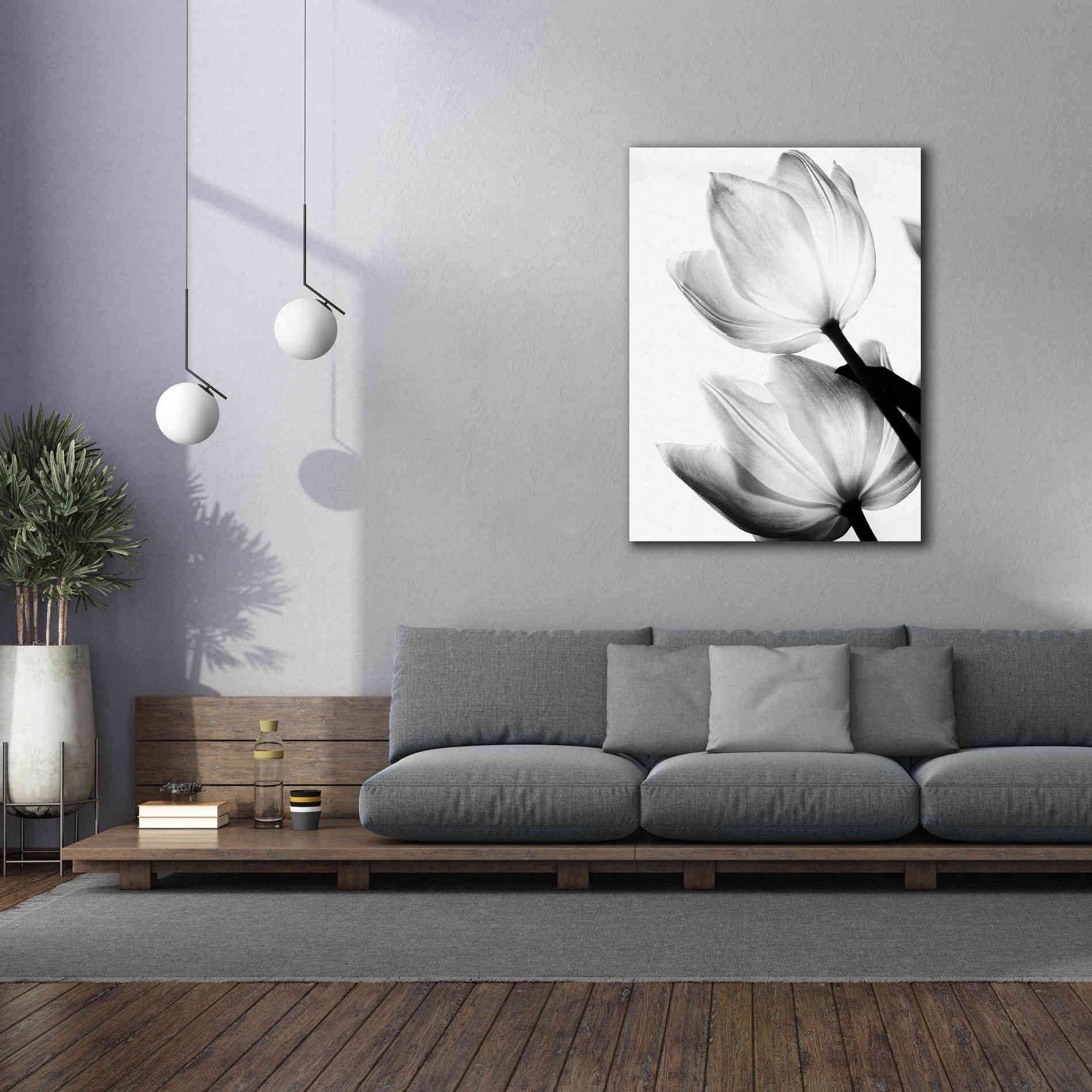 'Translucent Tulips II' by Debra Van Swearingen, Canvas Wall Art,40 x 54