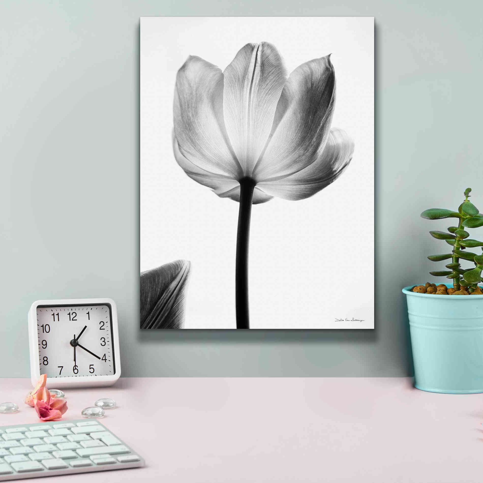 'Translucent Tulips I' by Debra Van Swearingen, Canvas Wall Art,12 x 16
