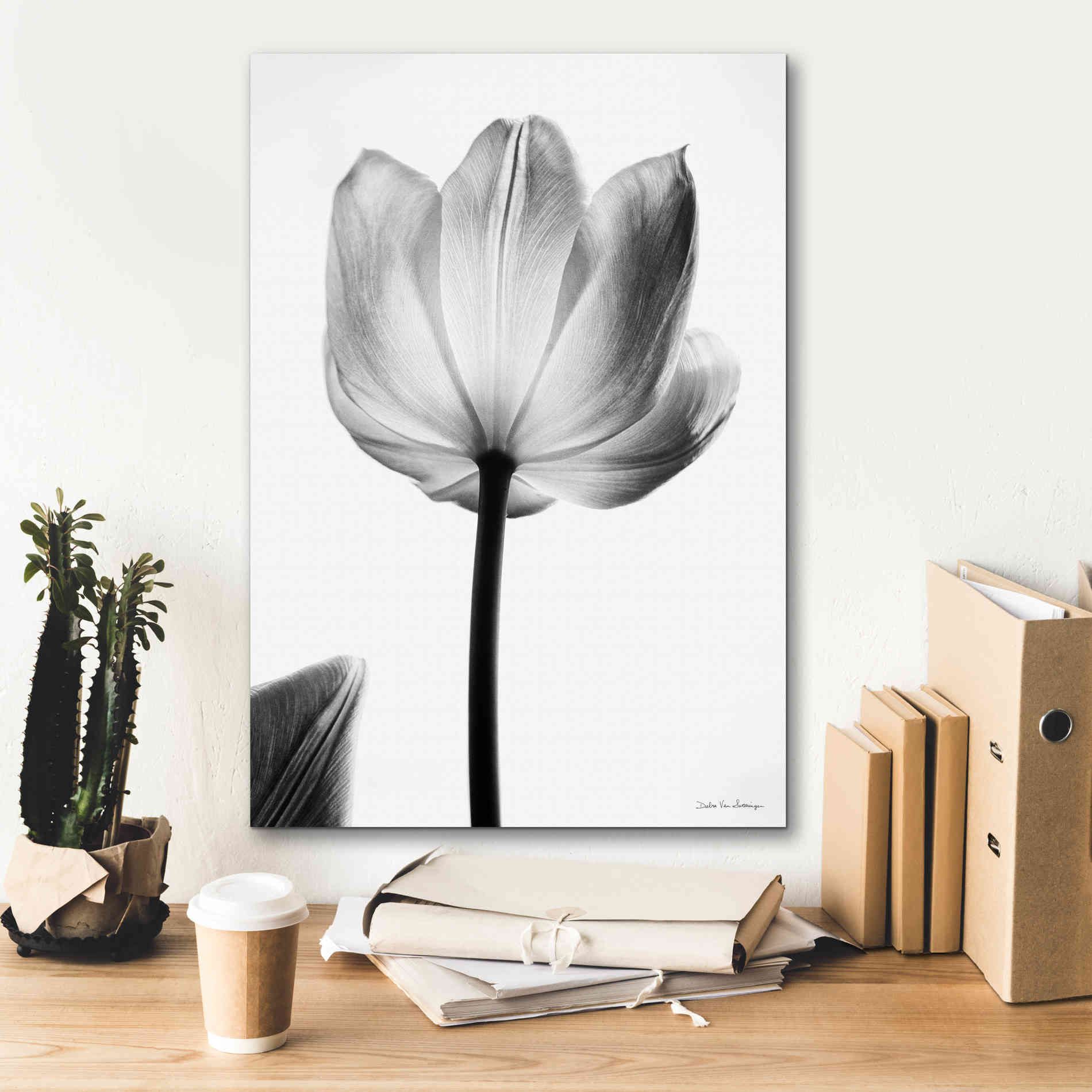 'Translucent Tulips I' by Debra Van Swearingen, Canvas Wall Art,18 x 26