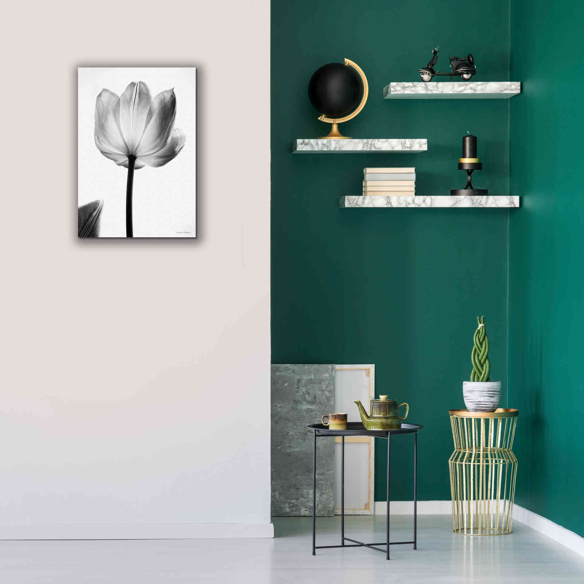 'Translucent Tulips I' by Debra Van Swearingen, Canvas Wall Art,18 x 26