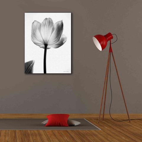 Image of 'Translucent Tulips I' by Debra Van Swearingen, Canvas Wall Art,26 x 34