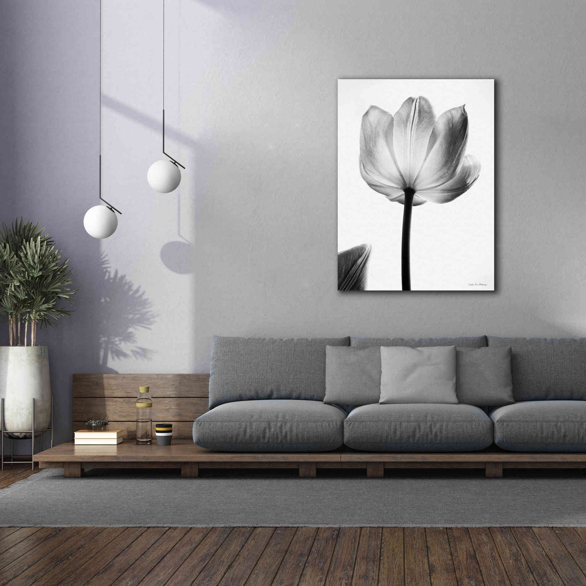 'Translucent Tulips I' by Debra Van Swearingen, Canvas Wall Art,40 x 54