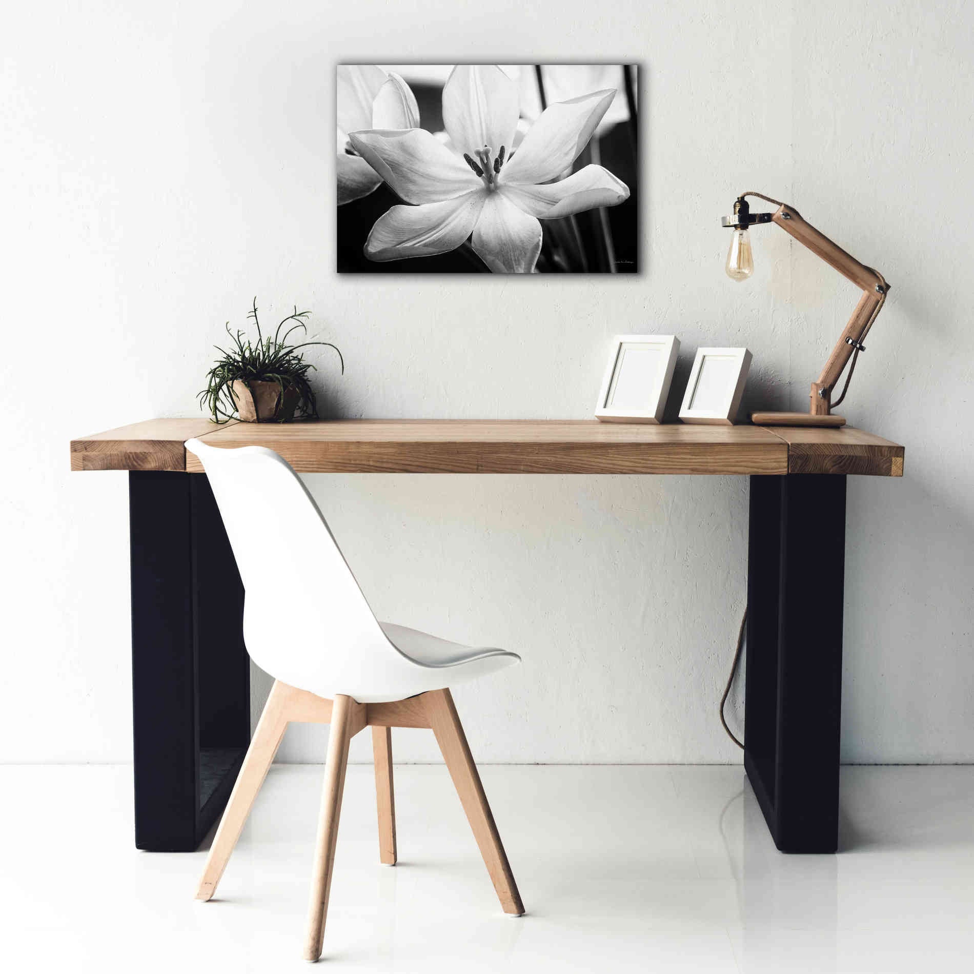 'Translucent Tulips IV' by Debra Van Swearingen, Canvas Wall Art,26 x 18