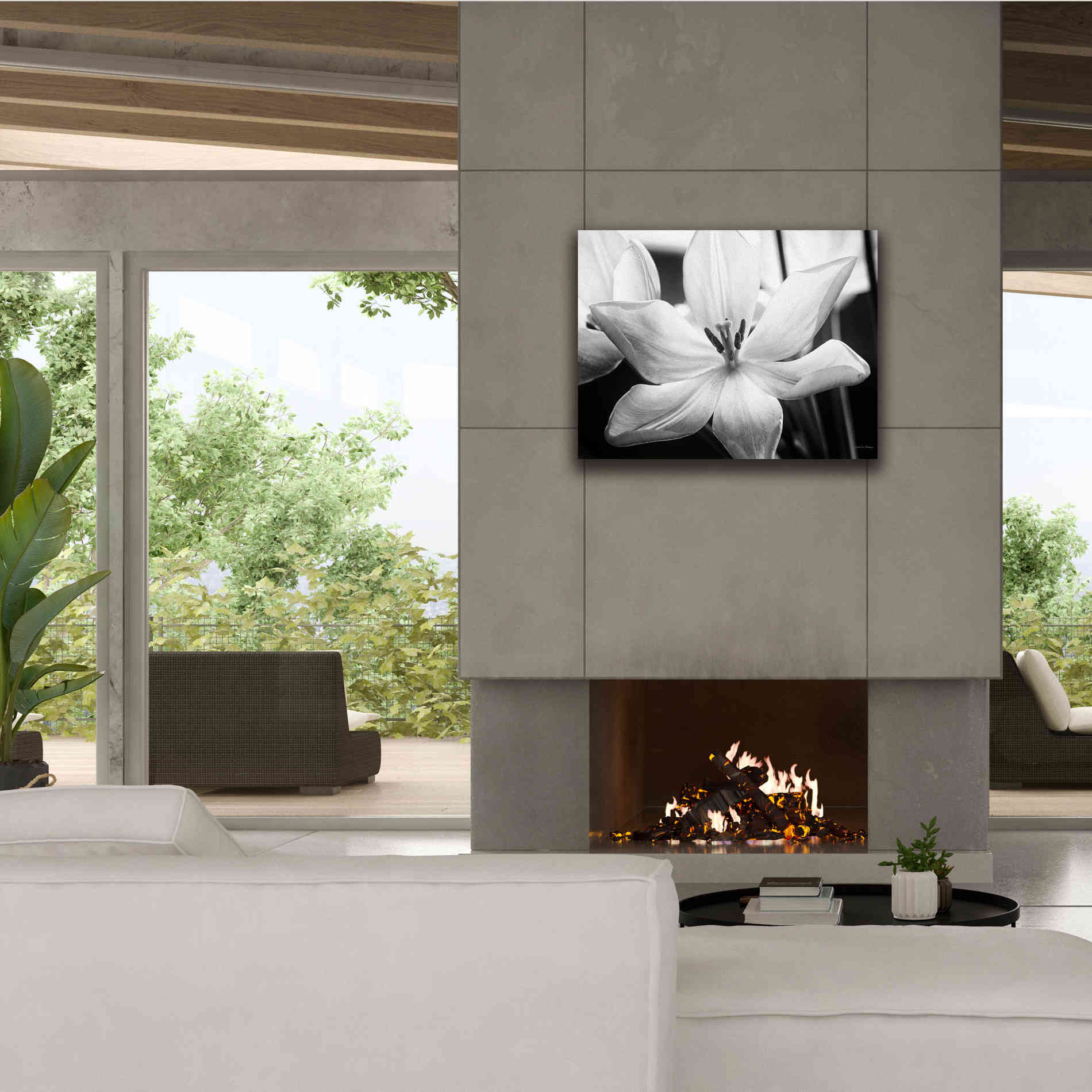'Translucent Tulips IV' by Debra Van Swearingen, Canvas Wall Art,34 x 26