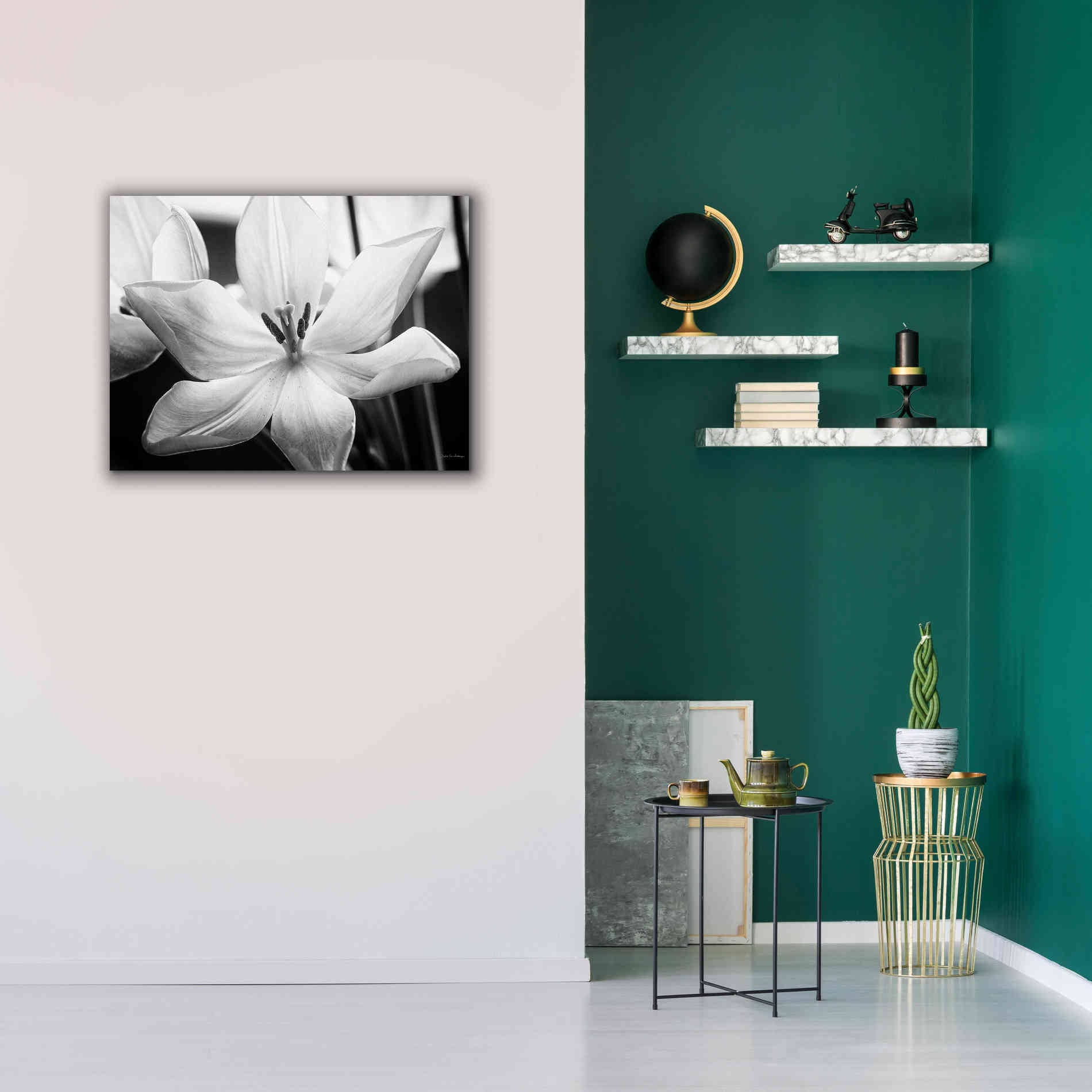 'Translucent Tulips IV' by Debra Van Swearingen, Canvas Wall Art,34 x 26
