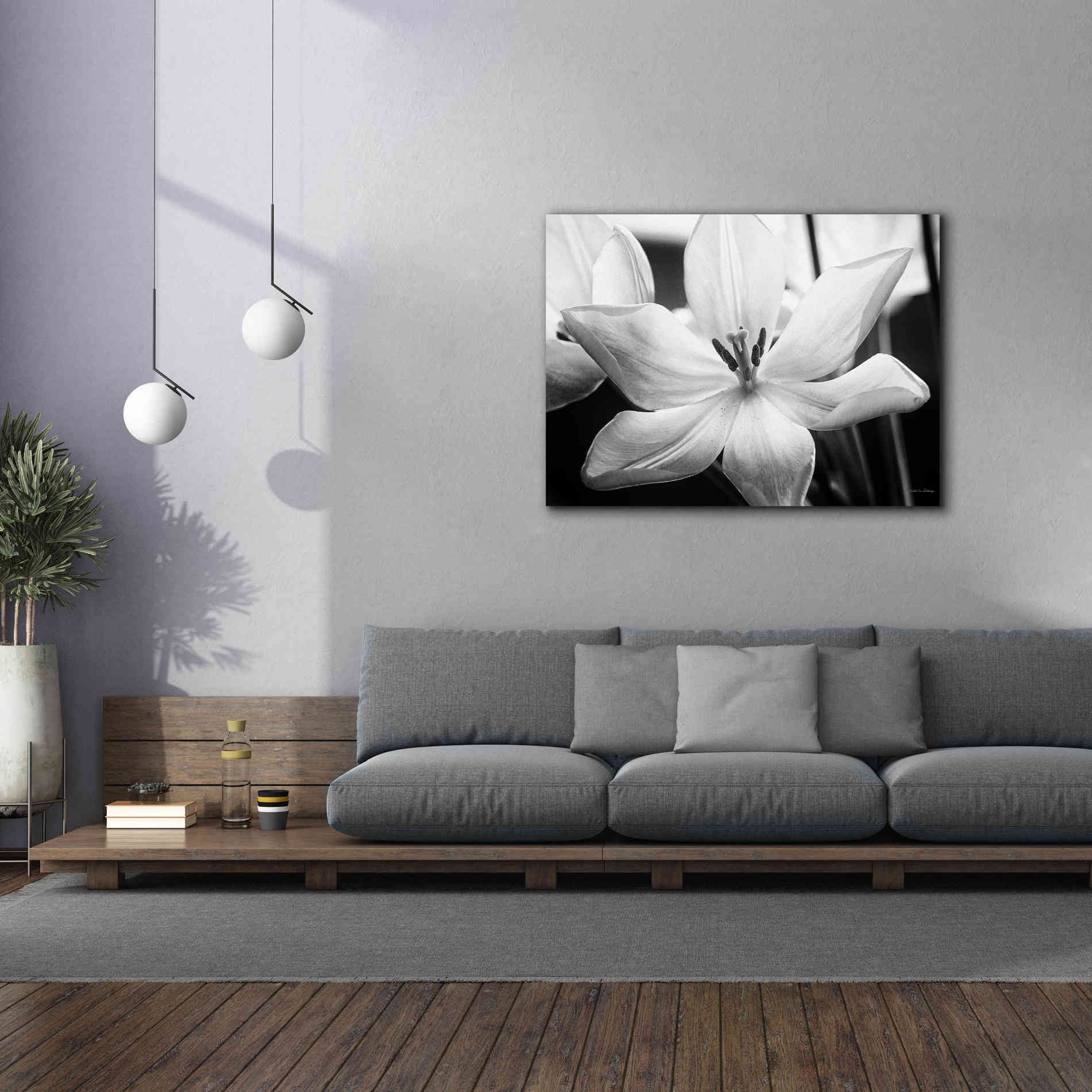 'Translucent Tulips IV' by Debra Van Swearingen, Canvas Wall Art,54 x 40