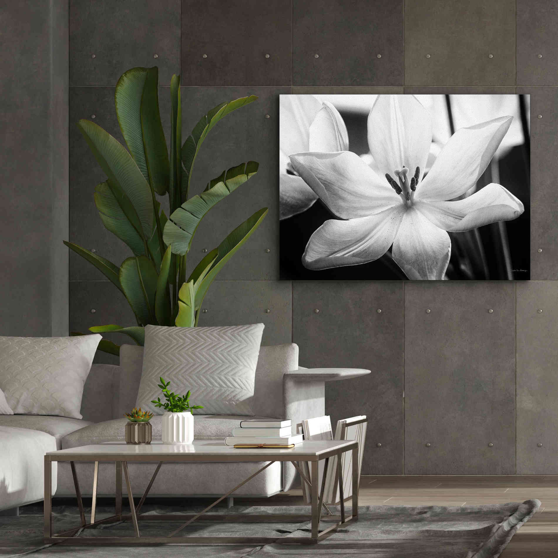 'Translucent Tulips IV' by Debra Van Swearingen, Canvas Wall Art,54 x 40