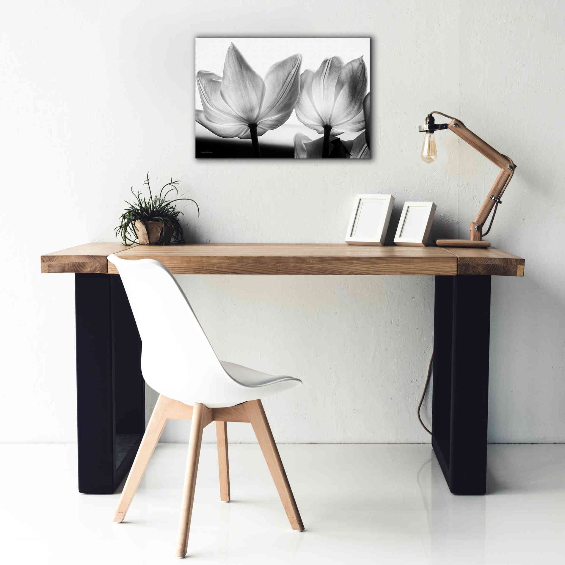 'Translucent Tulips V' by Debra Van Swearingen, Canvas Wall Art,26 x 18