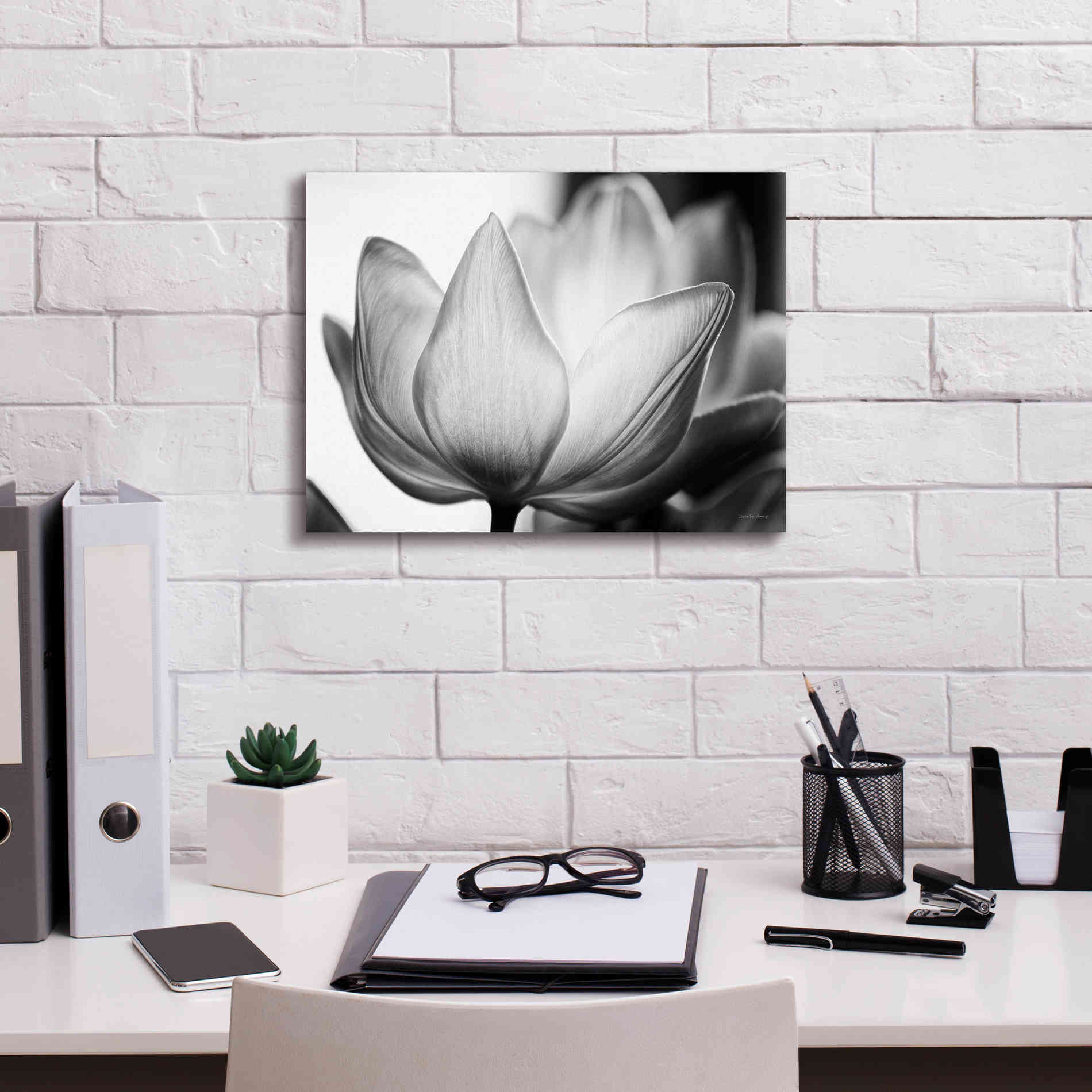 'Translucent Tulips VI' by Debra Van Swearingen, Canvas Wall Art,16 x 12