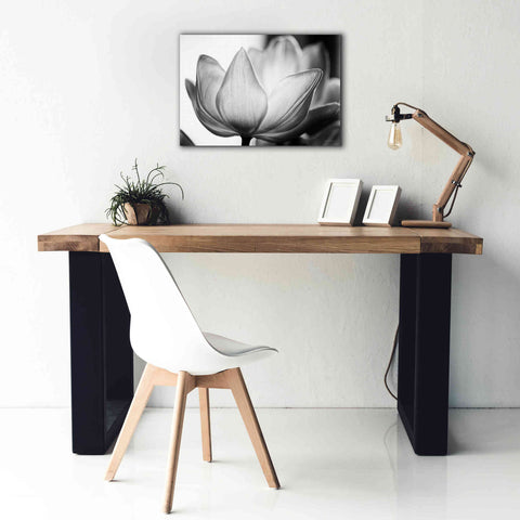 Image of 'Translucent Tulips VI' by Debra Van Swearingen, Canvas Wall Art,26 x 18