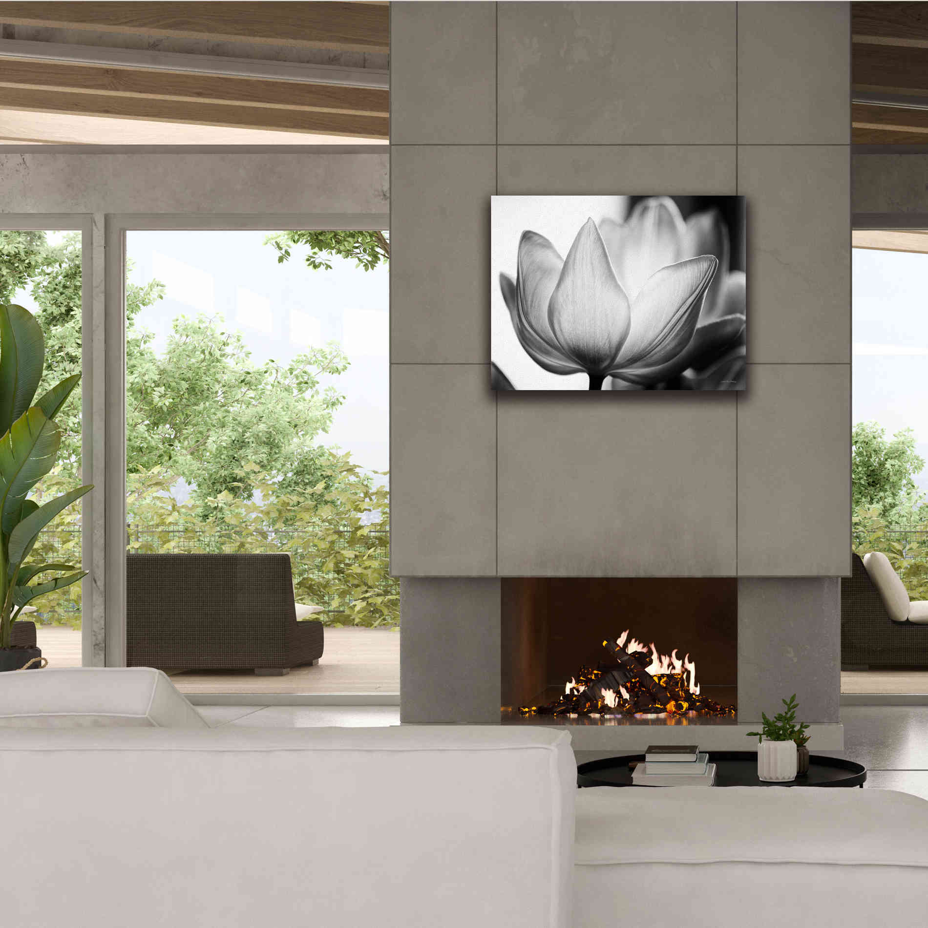 'Translucent Tulips VI' by Debra Van Swearingen, Canvas Wall Art,34 x 26