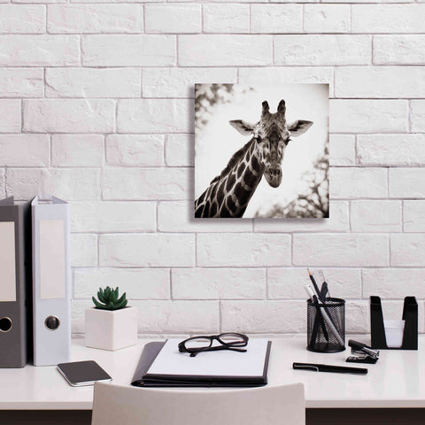 Image of 'Giraffe I' by Debra Van Swearingen, Canvas Wall Art,12 x 12