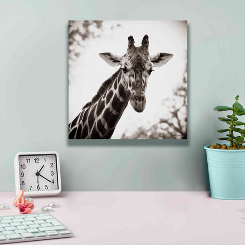 Image of 'Giraffe I' by Debra Van Swearingen, Canvas Wall Art,12 x 12