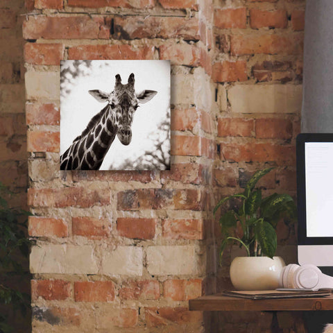 Image of 'Giraffe I' by Debra Van Swearingen, Canvas Wall Art,12 x 12