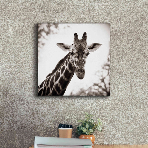 Image of 'Giraffe I' by Debra Van Swearingen, Canvas Wall Art,18 x 18