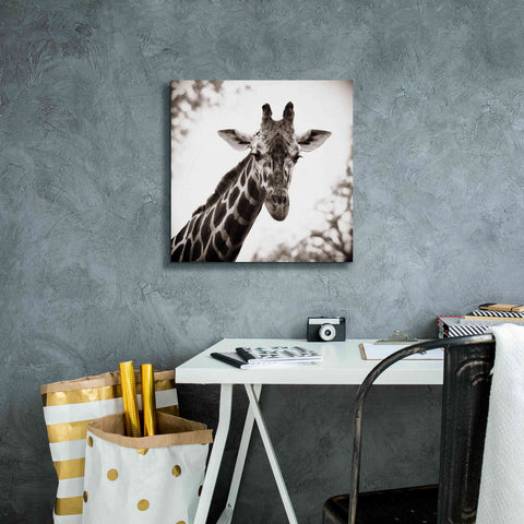 Image of 'Giraffe I' by Debra Van Swearingen, Canvas Wall Art,18 x 18