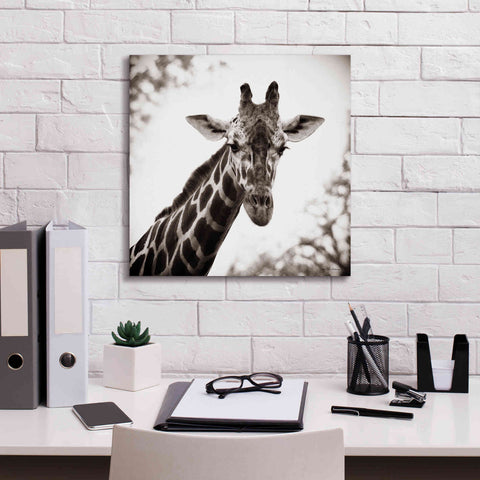 Image of 'Giraffe I' by Debra Van Swearingen, Canvas Wall Art,18 x 18