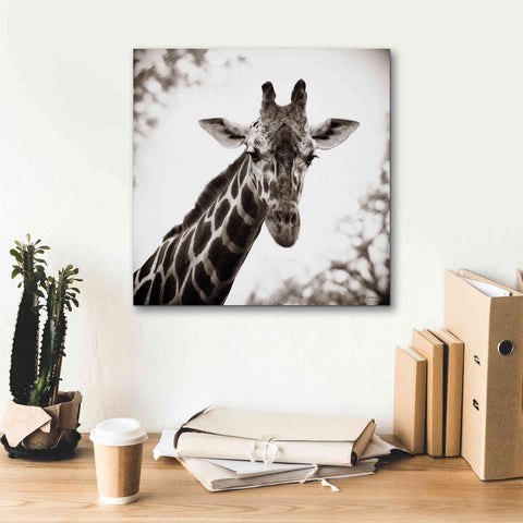 Image of 'Giraffe I' by Debra Van Swearingen, Canvas Wall Art,18 x 18