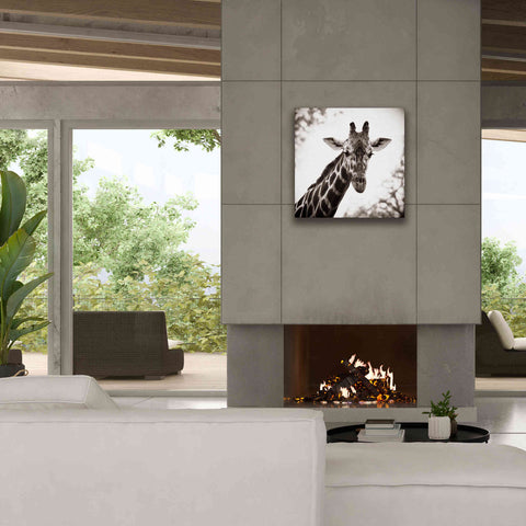 Image of 'Giraffe I' by Debra Van Swearingen, Canvas Wall Art,26 x 26