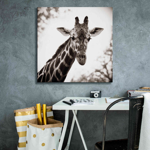 Image of 'Giraffe I' by Debra Van Swearingen, Canvas Wall Art,26 x 26