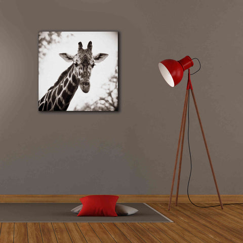 Image of 'Giraffe I' by Debra Van Swearingen, Canvas Wall Art,26 x 26