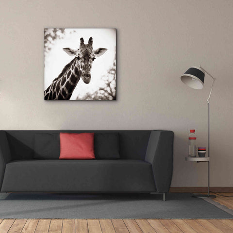 Image of 'Giraffe I' by Debra Van Swearingen, Canvas Wall Art,37 x 37