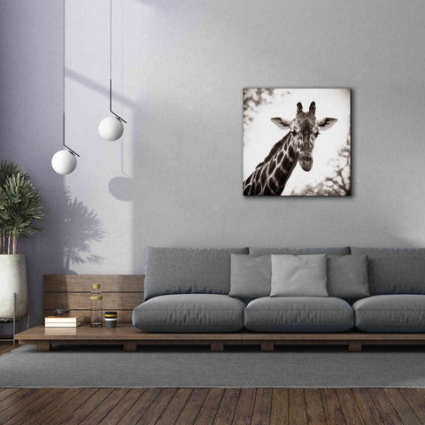Image of 'Giraffe I' by Debra Van Swearingen, Canvas Wall Art,37 x 37