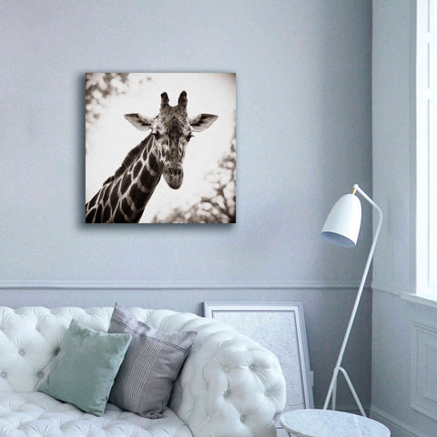 Image of 'Giraffe I' by Debra Van Swearingen, Canvas Wall Art,37 x 37