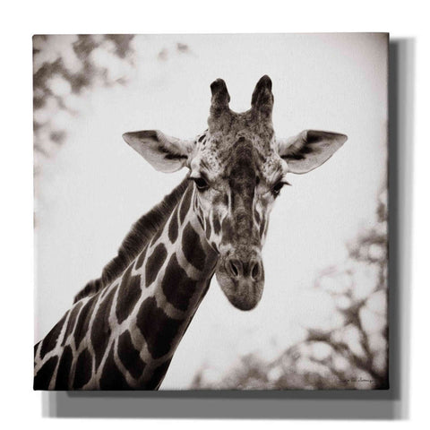 Image of 'Giraffe I' by Debra Van Swearingen, Canvas Wall Art,12x12x1.1x0,18x18x1.1x0,26x26x1.74x0,37x37x1.74x0