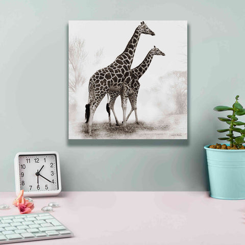 Image of 'Giraffe III' by Debra Van Swearingen, Canvas Wall Art,12 x 12