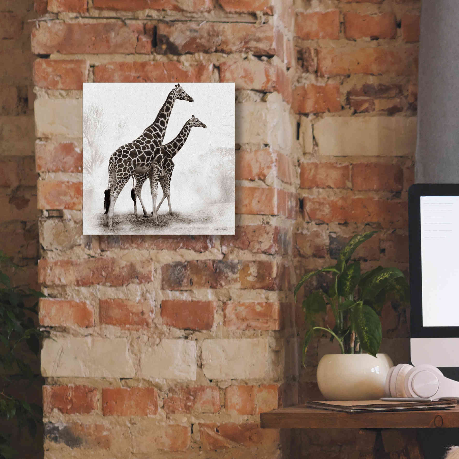'Giraffe III' by Debra Van Swearingen, Canvas Wall Art,12 x 12