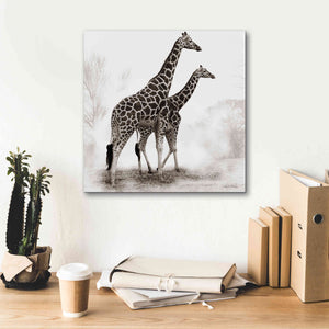 'Giraffe III' by Debra Van Swearingen, Canvas Wall Art,18 x 18