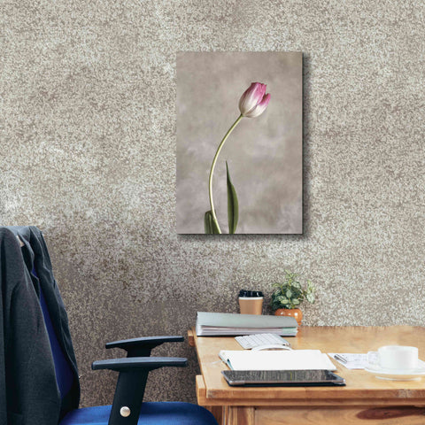 Image of 'Fresh Tulips I' by Debra Van Swearingen, Canvas Wall Art,18 x 26