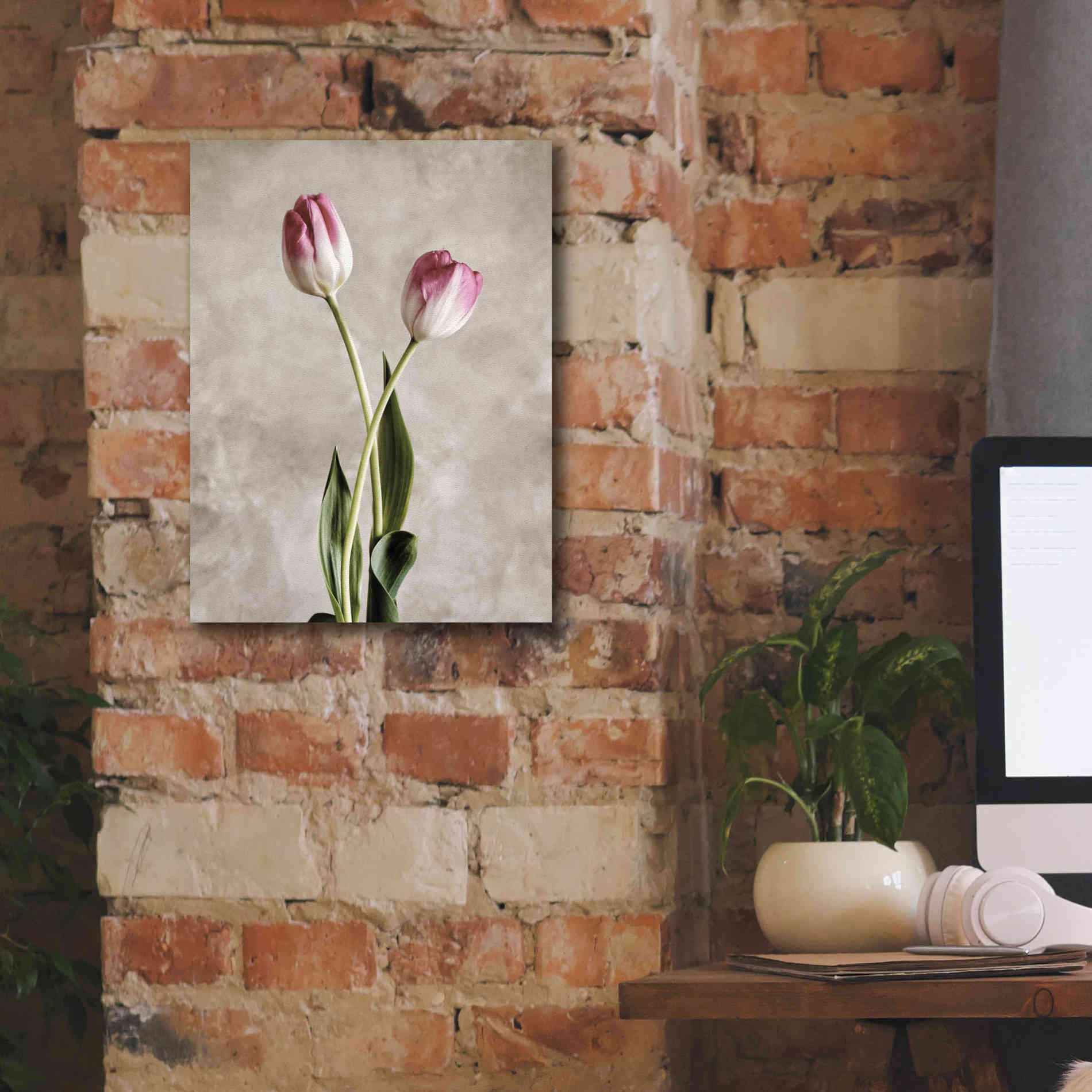 'Fresh Tulips IV' by Debra Van Swearingen, Canvas Wall Art,12 x 16