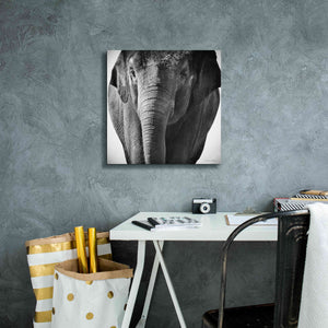 'Elephant I' by Debra Van Swearingen, Canvas Wall Art,18 x 18