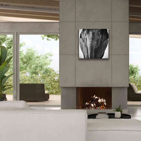 Image of 'Elephant I' by Debra Van Swearingen, Canvas Wall Art,26 x 26