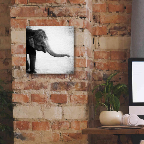 Image of 'Elephant II' by Debra Van Swearingen, Canvas Wall Art,12 x 12