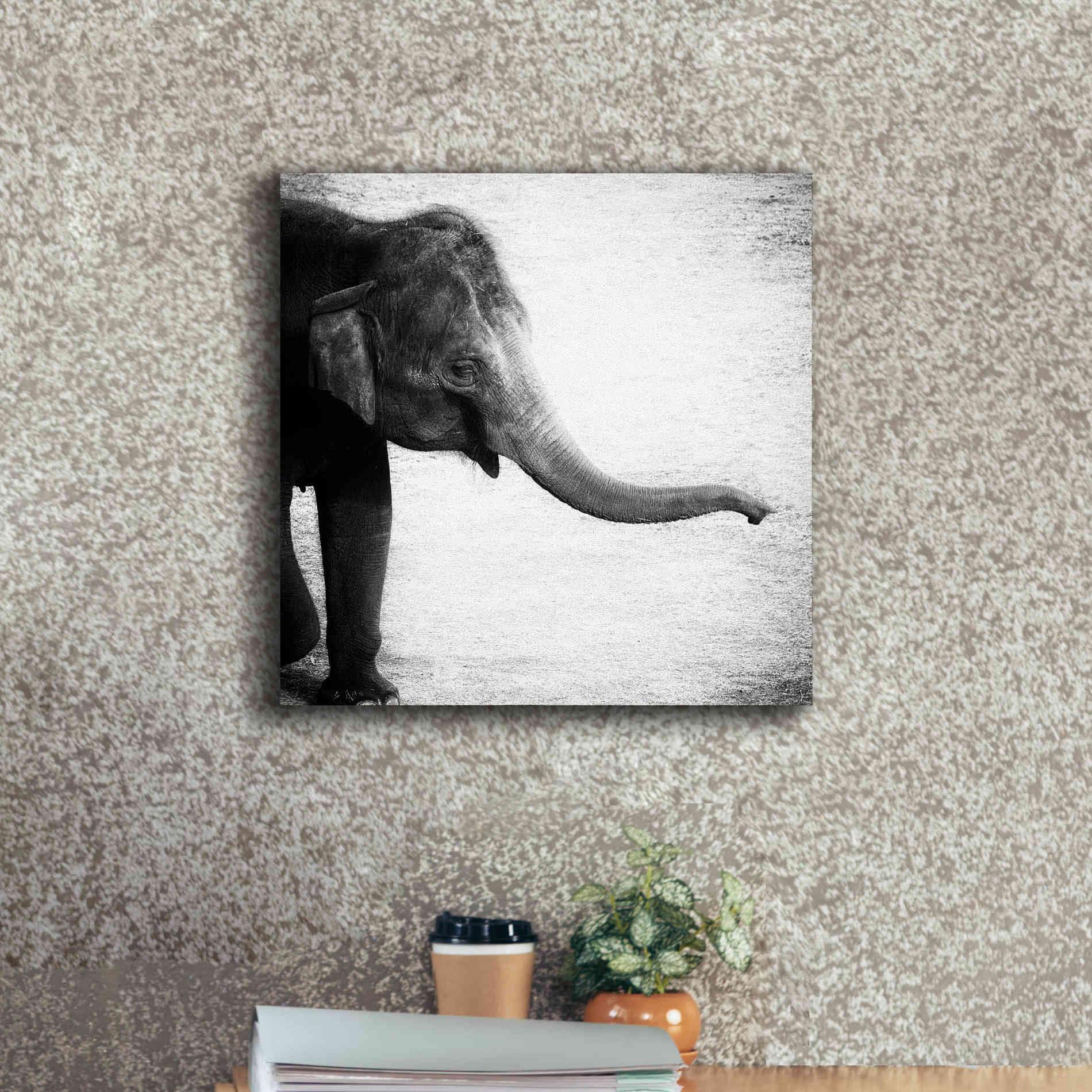 'Elephant II' by Debra Van Swearingen, Canvas Wall Art,18 x 18
